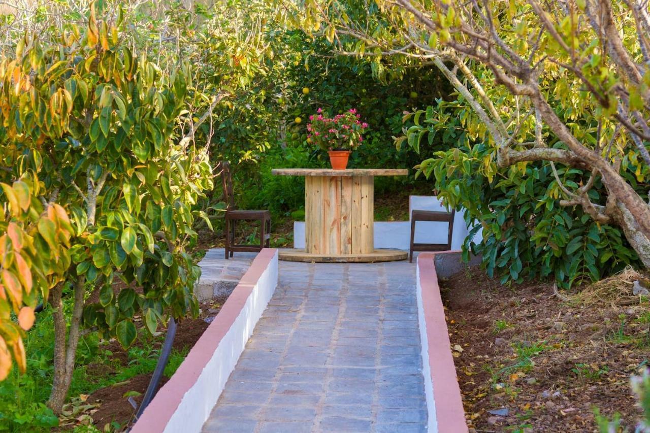 Casa Cueva Villa Aday Santa Maria de Guia de Gran Canaria Extérieur photo