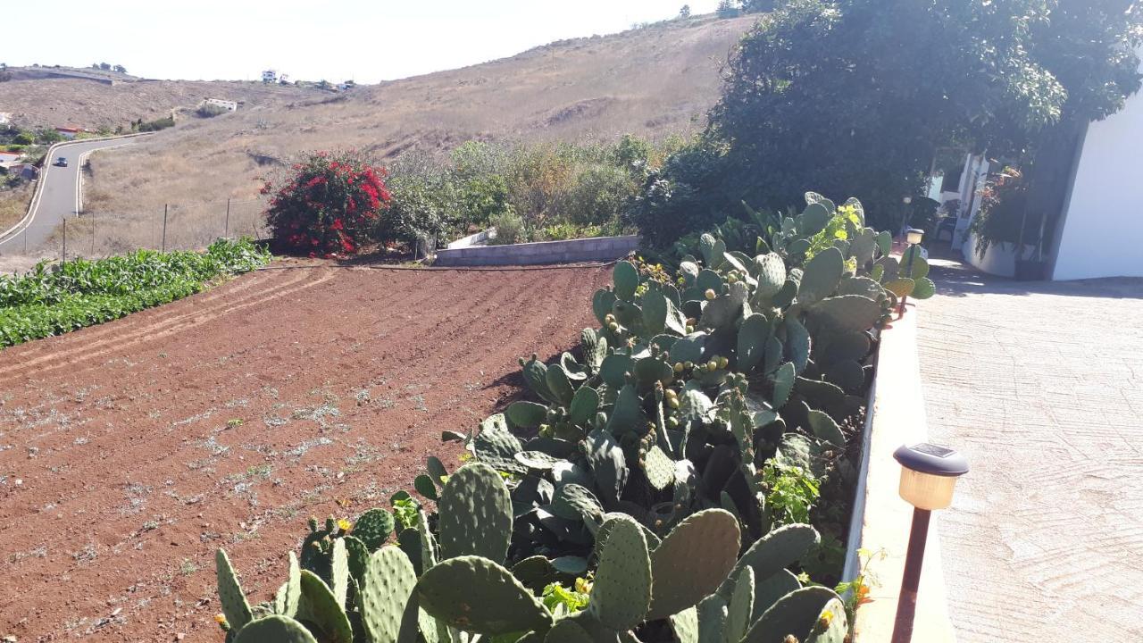 Casa Cueva Villa Aday Santa Maria de Guia de Gran Canaria Extérieur photo